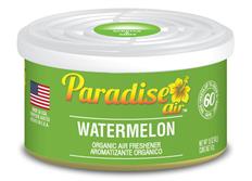 Osvěžovač vzduchu Paradise Air Organic Air Freshener 42 g vůně Meloun